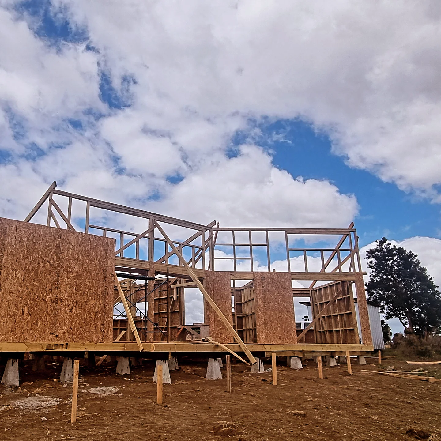 Proceso de obra 02